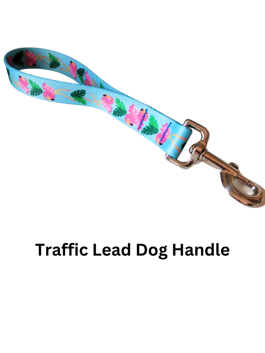 Dog lead shop handle