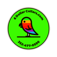 6 Dollar Collars