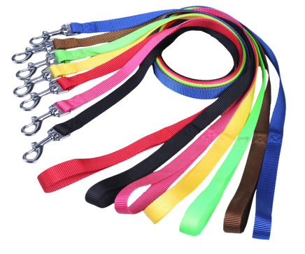 Nylon Dog Leash 3/8" Wide 6' Long - 6 Dollar Collars