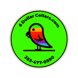 CUSTOM Printed Webbing Products - One Payment