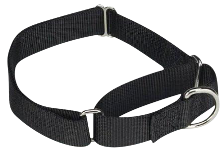 All Nylon Martingale Collar Extra Small 6 Dollar Collars