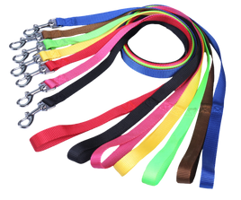 Nylon Dog Leash 1" Wide 4' Long - 6 Dollar Collars