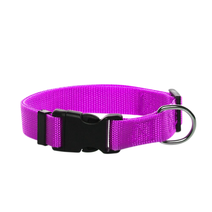 Adjustable Nylon Dog Collar Extra Small - 6 Dollar Collars