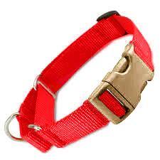 All Nylon Martingale + METAL Quick Release Large - 6 Dollar Collars