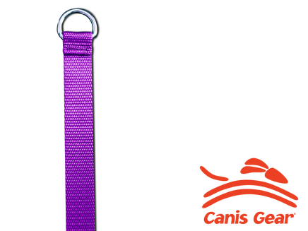 Heavy Duty Kennel Lead by Canis Gear - 6 Dollar Collars